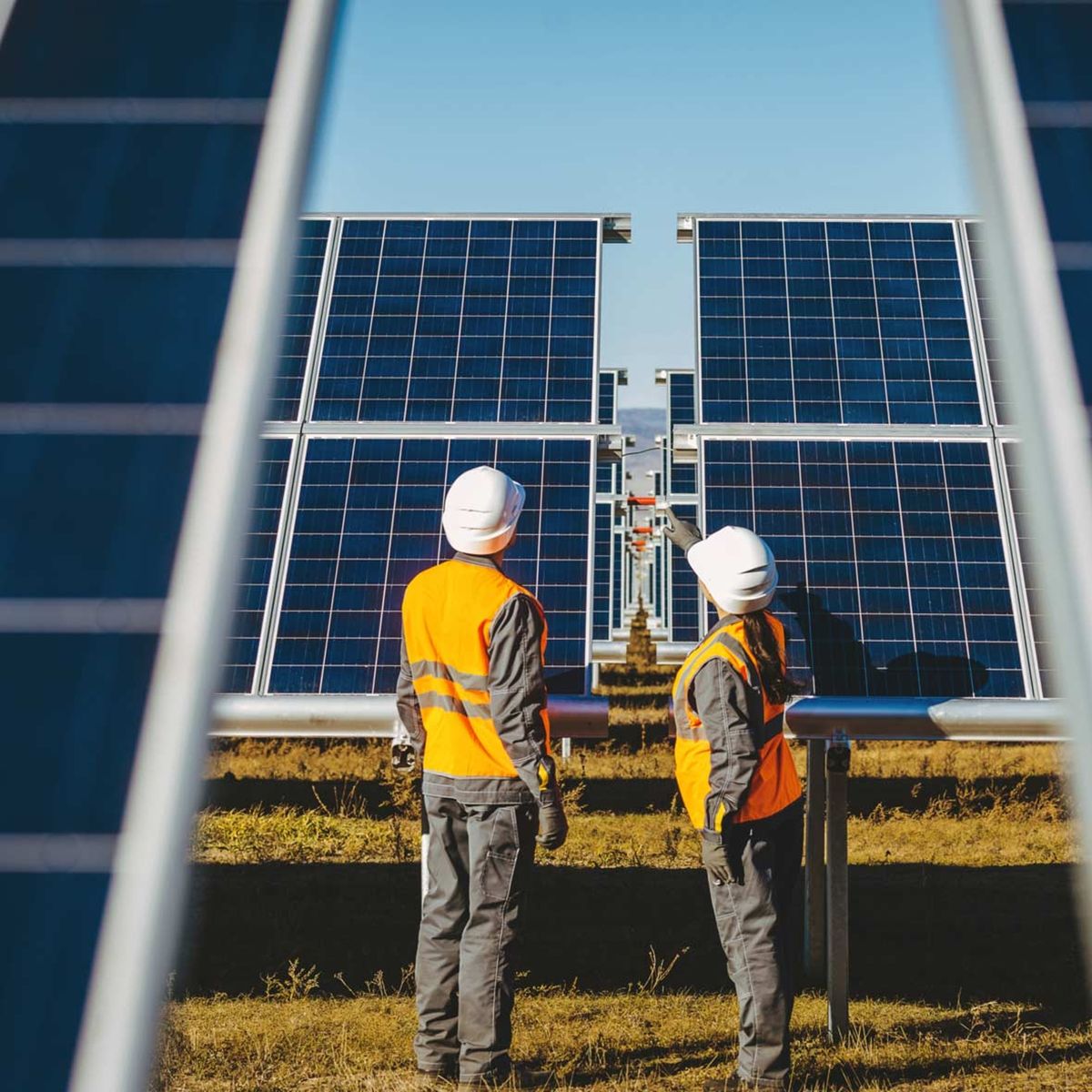 26418733d5724ea2e4d0860174507329